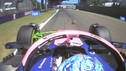 Horrifying moment F1 star crashes into animal while on track in Imola Grand Prix practice