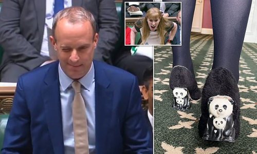 'Imagine how I feel': Angela Rayner lashes out at Deputy Prime Minister Dominic Raab after he WINKS at her during feisty PMQs and mocks her for being a 'champagne socialist' with her trip to the opera