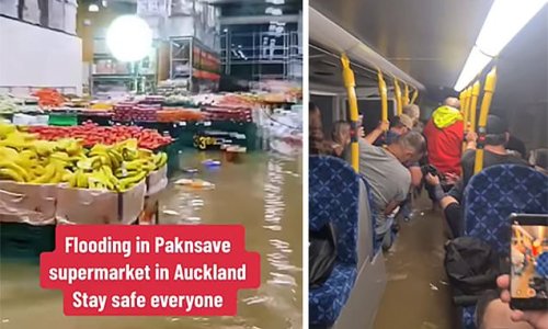 Wild footage emerges from Auckland weather emergency as a flooded bus brings passengers back from cancelled Elton John concert and shoppers grab food in an underwater supermarket