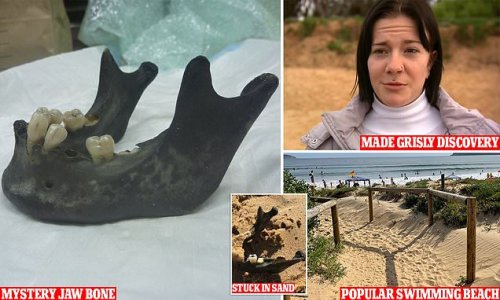 Blackened jaw found on Umina Beach could belong to 15-year-old boy
