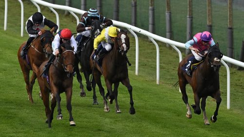 Robin Goodfellow's racing tips: Best bets for Friday, May 23