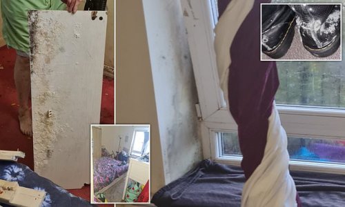 Family of six say they have been trapped in 'nightmare' mould-infested council flat for more than five years that has left all four children suffering with asthma
