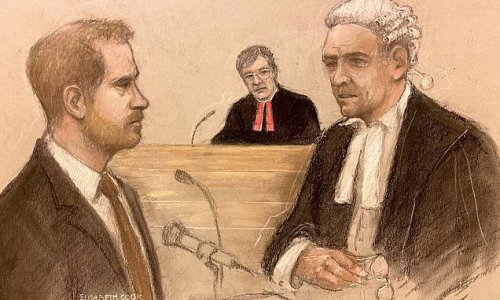 Eight articles that cast doubt on Prince Harry's High Court case