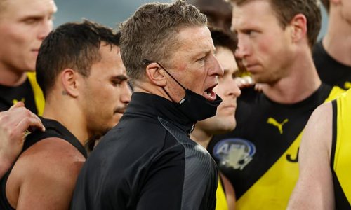 Tigers on canvas after loss to Dockers