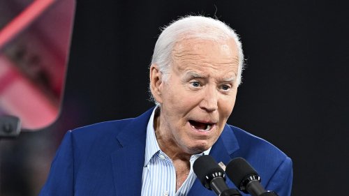 White House photographer blows whistle on Biden's cognitive health as he reveals aides knew for...