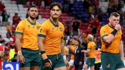 Wallabies fans caught in shocking act during World Cup loss to Wales - as Kiwi supporters are told NOT to celebrate disaster for Aussies