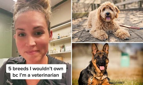 Top vet names the five VERY surprising dog breeds she would NEVER own and those she loves the most