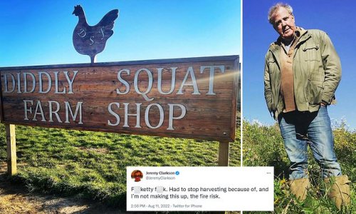 Crop fear! Jeremy Clarkson reveals he has to stop harvesting at Diddly Squat farm due to FIRE risk - as sweltering conditions in UK dry up soils and raise risk of wildfires