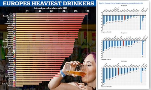 Britain ISN'T the boozing capital of Europe: UK ranks middle of table... with Latvia in top spot, OECD data shows