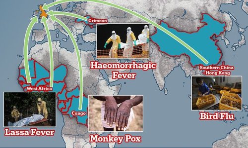 Could 'Disease X' be just around the corner? Top professor warns Britain needs to 'strengthen' its preparations for possibility of a new pandemic amid outbreak of Covid, Monkeypox and Polio in the UK