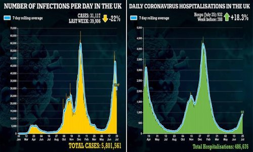 England's Covid third wave is NOT over despite falling cases