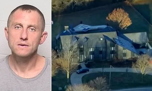 Man suspected of stabbing his daughters - aged four and six - wife, female relative before killing himself: All five found dead inside million dollar home in Chicago suburb in 'domestic-related incident'