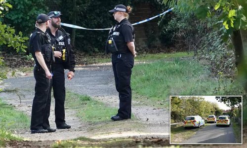 Horror in sleepy Suffolk village after teenage girl is stabbed multiple times and left to die in 2am attack before she is rescued by dog walker five hours later: Police arrest 17-year-old boy on suspicion of assault causing GBH with intent