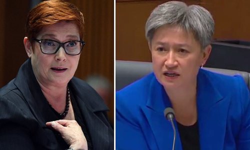 Extraordinary moment Penny Wong loses temper during Senate estimates