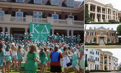 This is what it really takes to make the cut in a Southern sorority: College girls are paying THOUSANDS to consultants to scrub their social media, give them tips on how to dress - and coach them straight into one of the mansions on Sorority Row