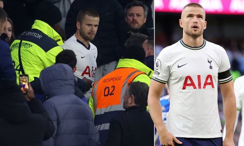  The Abuse Is Getting WORSE Tottenham Star Eric Dier Says Fan Insults 