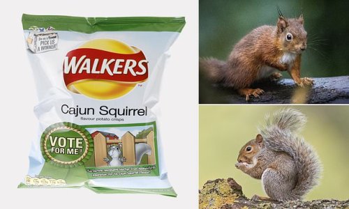 Forget turnips...now eat SQUIRREL! Restaurants are urged to serve