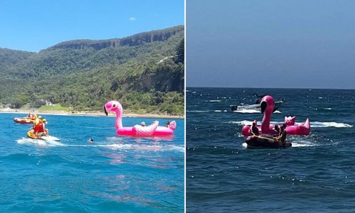 Inside the bizarre battle to rescue five mates 'stranded' on a giant pink flamingo - after their $700 inflatable started drifting towards sharp rocks