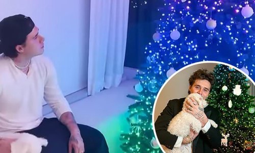 Brooklyn Beckham shows off his Christmas tree and festive rainbow fairy lights as he cuddles his dog Lamb