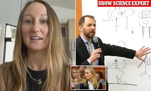 Gwyneth Paltrow juror says actress' snow science expert who drew STICK FIGURES to illustrate crash is what won them over - and reveals why plaintiff's exotic holiday snaps did NOT help his case