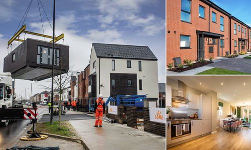 We visit a factory which pumps out two houses a day