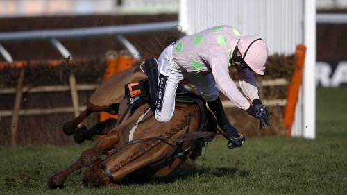 CHELTENHAM BREAKFAST: How bookmakers saved £50m in 2015, why Constitution Hill has polarised racing and don't rule out a shock... PLUS, Paddy Power's CHEAT SHEET for Day One