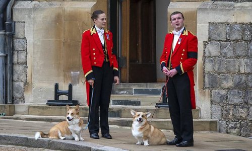 Queen's beloved Corgis remained by her bed side in her final hours: Loyal pets Muick and Sandy 'were with the late monarch at Balmoral'