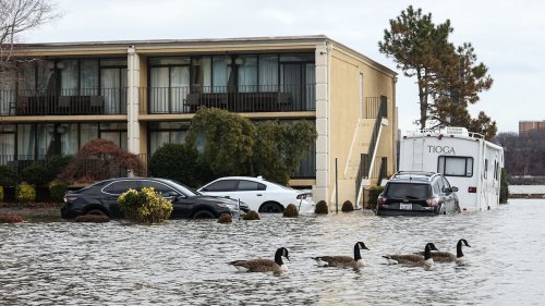 Scientists warn one in every 50 Americans in nearly 25 coastal cities at risk of excessive flooding...