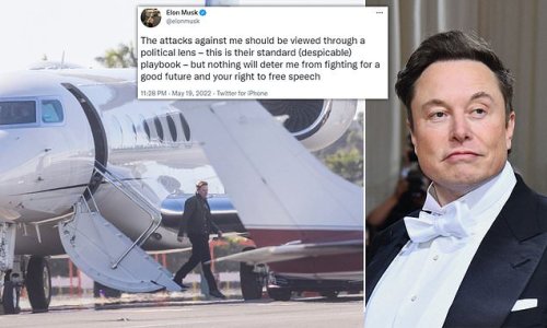 Elon Musk hits back at 'despicable' attacks against him after claims he 'propositioned SpaceX flight attendant for sex, exposed himself and offered to buy her a horse in exchange for an erotic massage'