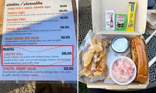 Foodie is furious to find the $51 lobster roll she ordered was NOT what the menu promised: 'It was still frozen and deconstructed'