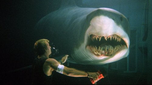 The Jaws Effect: How Shark movies are creating an 'excessive fear'