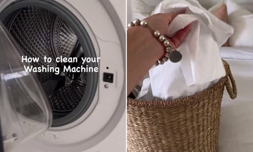Why you need to 'deep clean' your washing machine every month - and the cheap and simple method you can use to keep your laundry streak-free