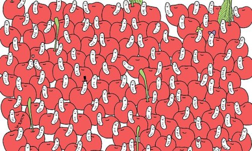 Can YOU find the cherry that's not been eaten by a worm?