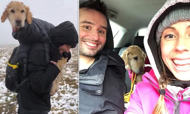 We'll get you bark home: Heart-warming moment hikers carry freezing dog off snowy mountains where it had been lost for two weeks after chasing after a deer