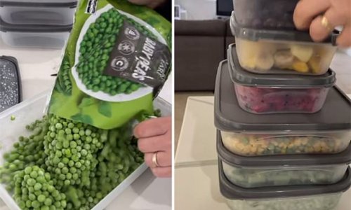 Mum's freezer organisation tip divides opinion