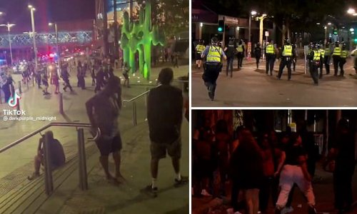 Australia Day chaos in one capital city as police are pelted with bottles and bricks in 'out of control' late-night gatherings