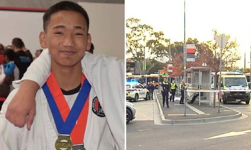 Teen, 17, charged with murder over the fatal stabbing of 16-year-old schoolboy at a train station as he was on the way to the movies to meet his brother