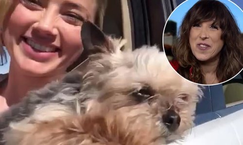 Where's Boo? TV host sparks wild conspiracy theory about Amber Heard's 'missing' Yorkshire Terrier