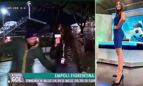 Outrage in Italy after female TV reporter is molested by football fan