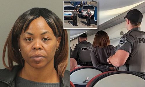 Unruly American Airlines Passenger, 36, Arrested After She 'tried To ...