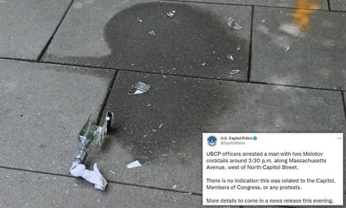 Man, 26, is arrested for trying to light Molotov cocktails and throw them at Capitol cops near Washington DC's Union Station