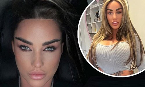 Katie Price shows off her new look after 'suffering heartache over her sixth pet death when her dog Sharon was hit by a car in horror accident'