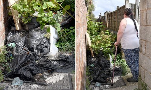 Furious woman, 59, claims fly-tipping residents KILLED her dog after it caught deadly Weil’s Disease from rats attracted to 4ft high rubbish mountain in her back alleyway