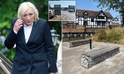 Businesswoman, 54, fined £200 for exposing herself and performing a sex act outside Waitrose in front of shocked passers-by claims she was suffering from stress after firm she ran with her husband failed during the Covid pandemic