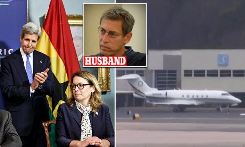 Ex-Obama and Clinton official, 55, died on private jet owned by her husband's rural broadband firm due to malfunction of controls that caused it to violently buck - and not turbulence