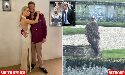 Charles Spencer breaks his silence as Lady Amelia's wedding photographs are revealed - after he did not attend the nuptials in South Africa