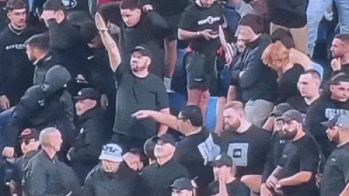 See the moment soccer fan allegedly makes a Nazi salute at an A-League game - as investigation is...