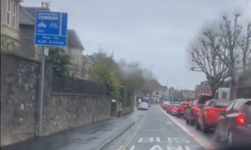 Driver divides opinion after overtaking 20 cars 'because they can't read road signs' as he drive along bus lane..so what would you do?