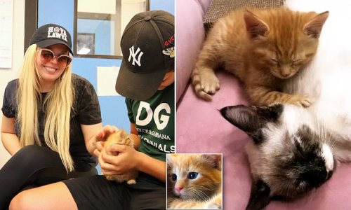 Tiffany Trump reveals she's changed her second adopted kitten's name to Simba