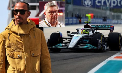 'Lewis Hamilton won't walk away': Former Mercedes boss Ross Brawn confirms British F1 champion is in search of an eighth world title and backs him to return stronger ahead of upcoming Spanish Grand Prix